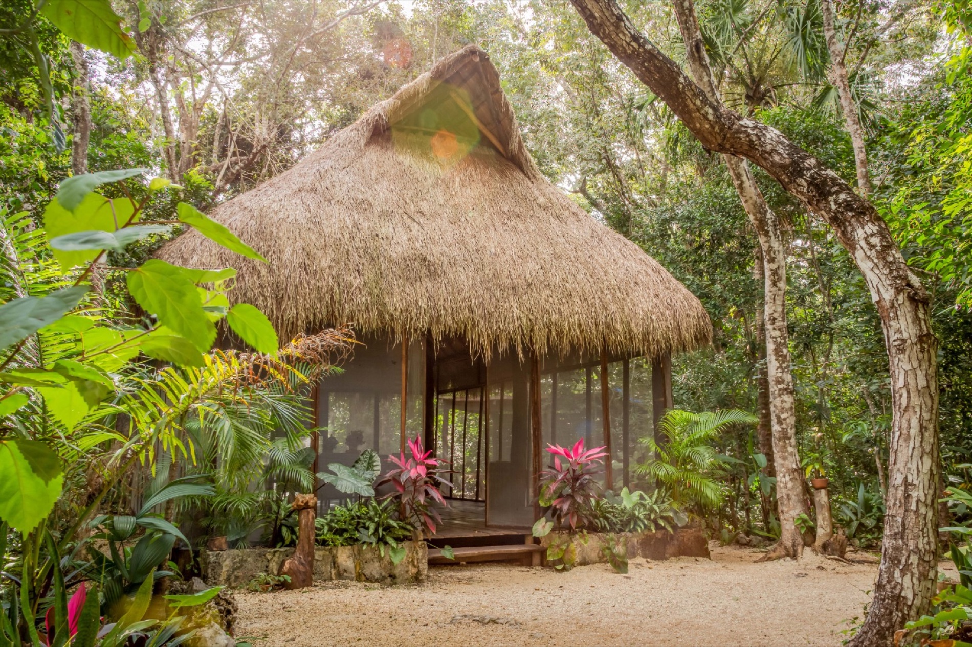 Cabaña con techo de palapa rodeada de selva en Madre Tierra